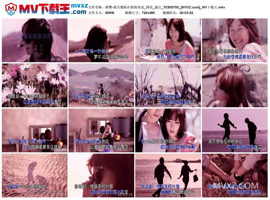 蒋婴-我只想陪在你的身边_国语_流行_YE500755